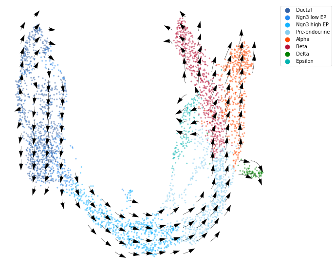 https://raw.githack.com/GuangyuWangLab2021/cellDancer_website/main/docs/_images/notebooks_case_study_pancreas_10_0.png