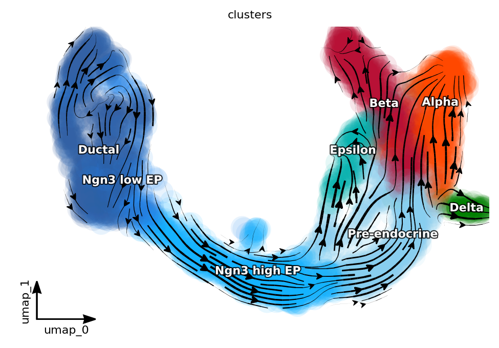 https://raw.githack.com/GuangyuWangLab2021/cellDancer_website/main/docs/_images/notebooks_case_study_pancreas_dynamo_11_1.png