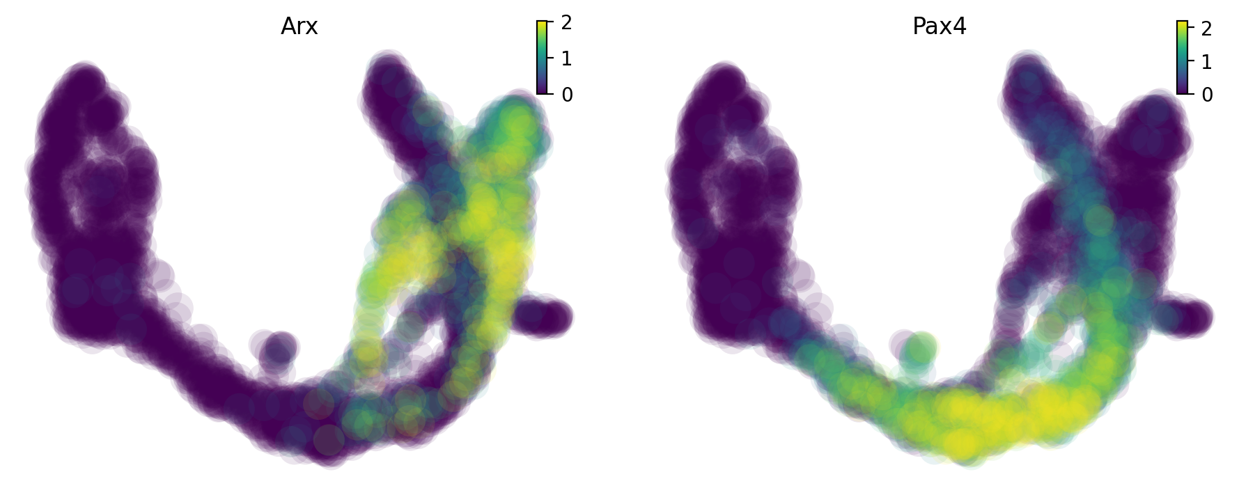 https://raw.githack.com/GuangyuWangLab2021/cellDancer_website/main/docs/_images/notebooks_case_study_pancreas_dynamo_22_1.png