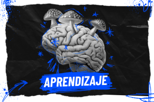 Image of a brain with mushrooms with the text 'APRENDIZAJE'