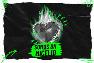 Image of a heart with flames with the text 'SOMOS UN MICELIO'