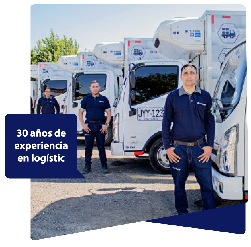 Equipo de logística profesional Imbocar