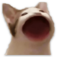 Popcat Classic