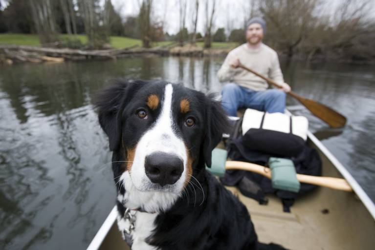 Dog Canoe