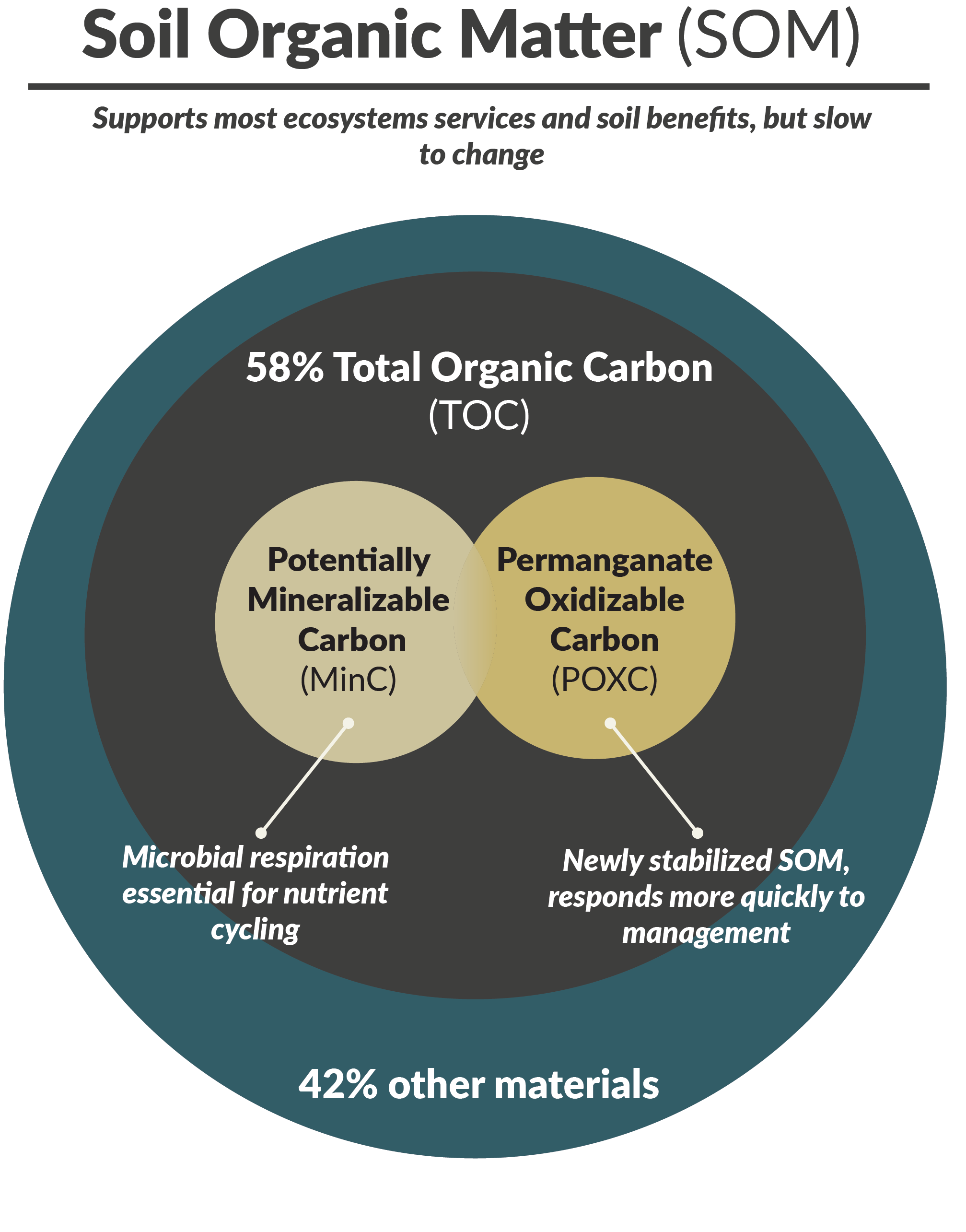 Soil Organic Matter (SOM) supports most ecosystems services and soil benefits, but slow to change. There are three layers of circles. The most outer circle says 42% other materials. The next inner circle says 58% total organic carbon. There are two circles inside this circle that says potentially mineralizable carbon (microbial respiration essential for nutrient cycling) and permanganate oxidizable carbon (newly stabilized SOM, responds more quickly to management).