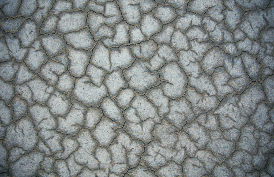 Texture 3