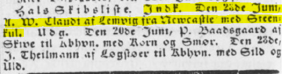 Newspaper