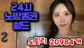 24시노방종권쉴드