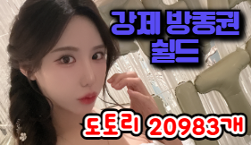 강제방종권쉴드
