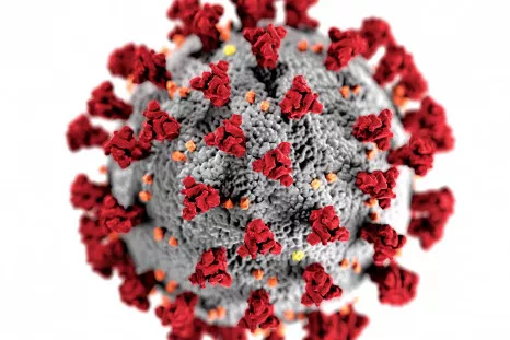 bernie sanders rally