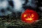halloween-pumpkin-rain