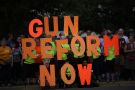 Protesters for gun reform