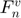 $F_{n}^{v}$