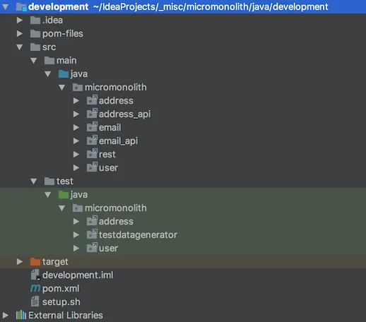 Development project structure