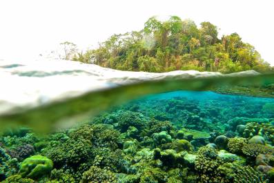 woman in a dress walking in a show