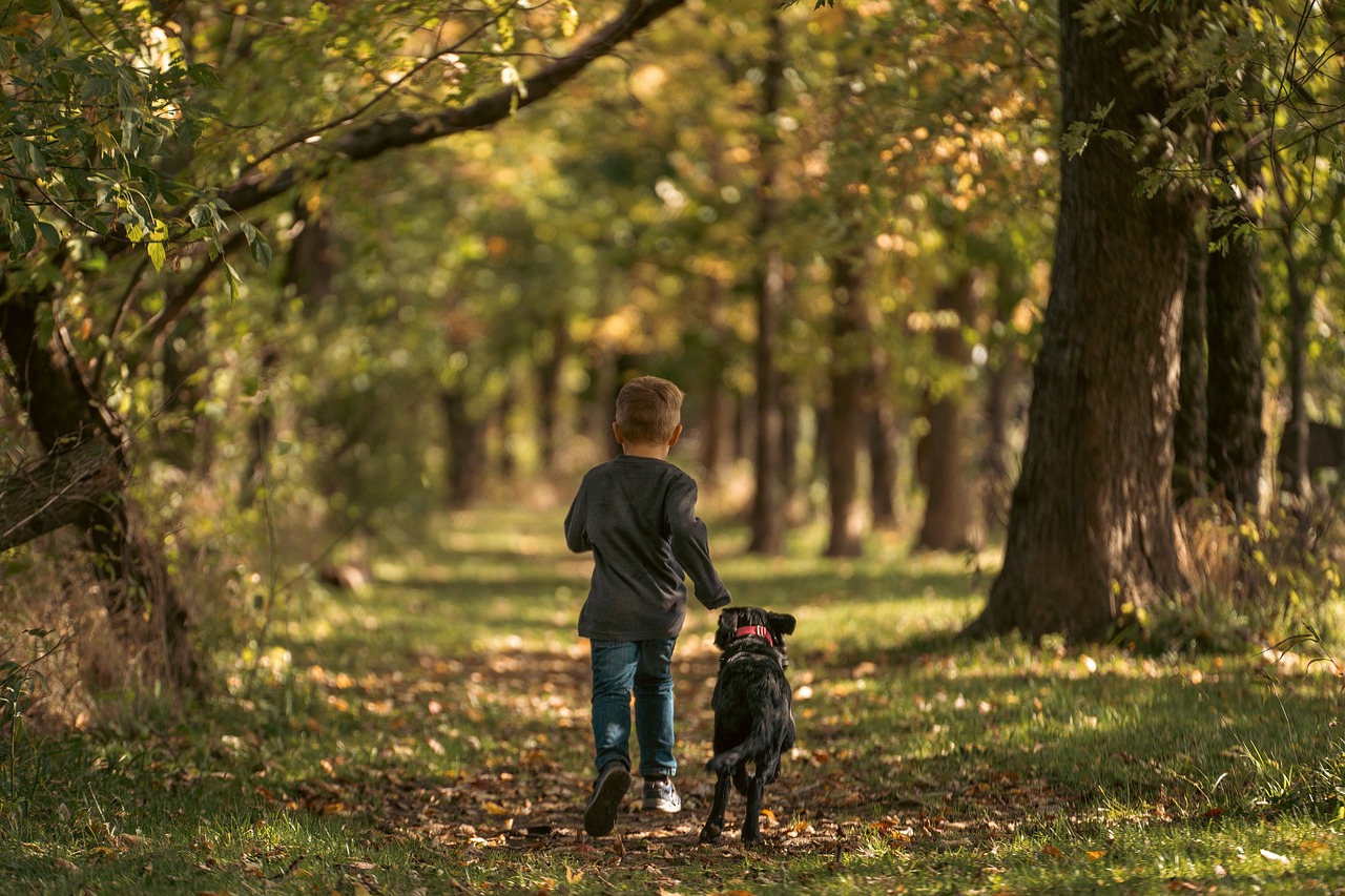 dog and child
