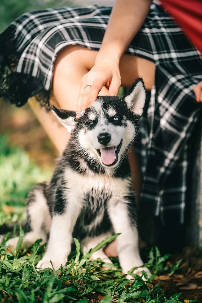 dog and woman