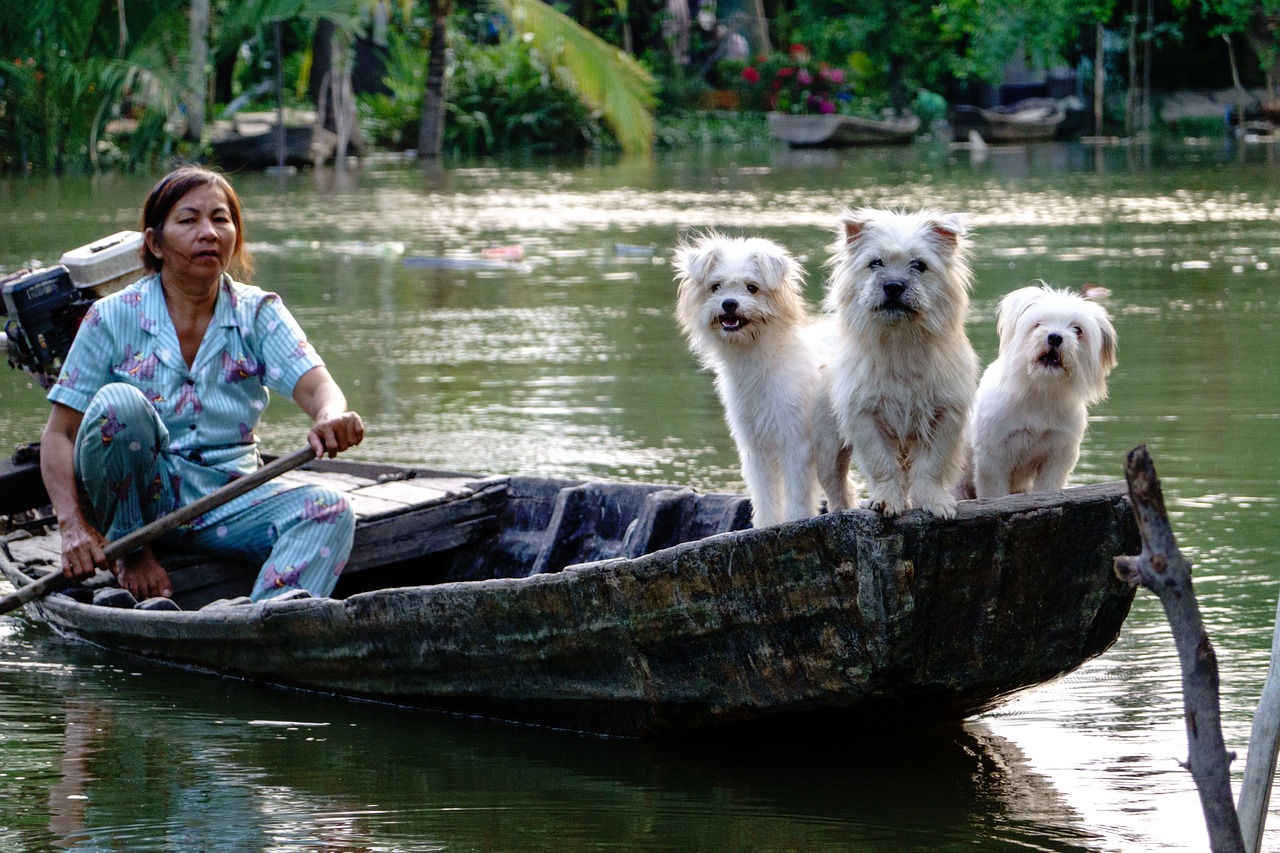 dog and woman on the boat