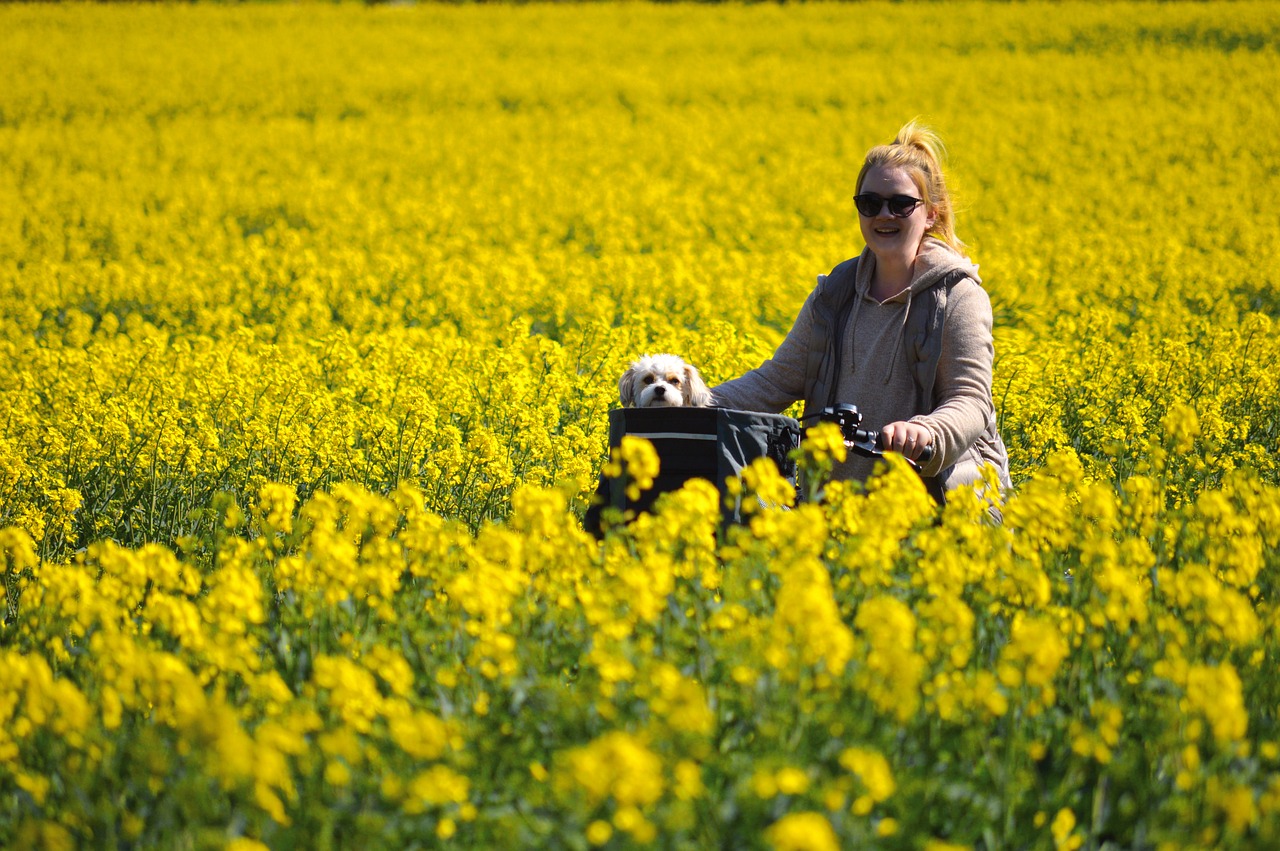 dog and woman in the field