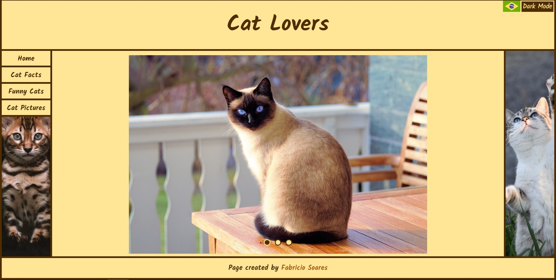 Cat Lovers