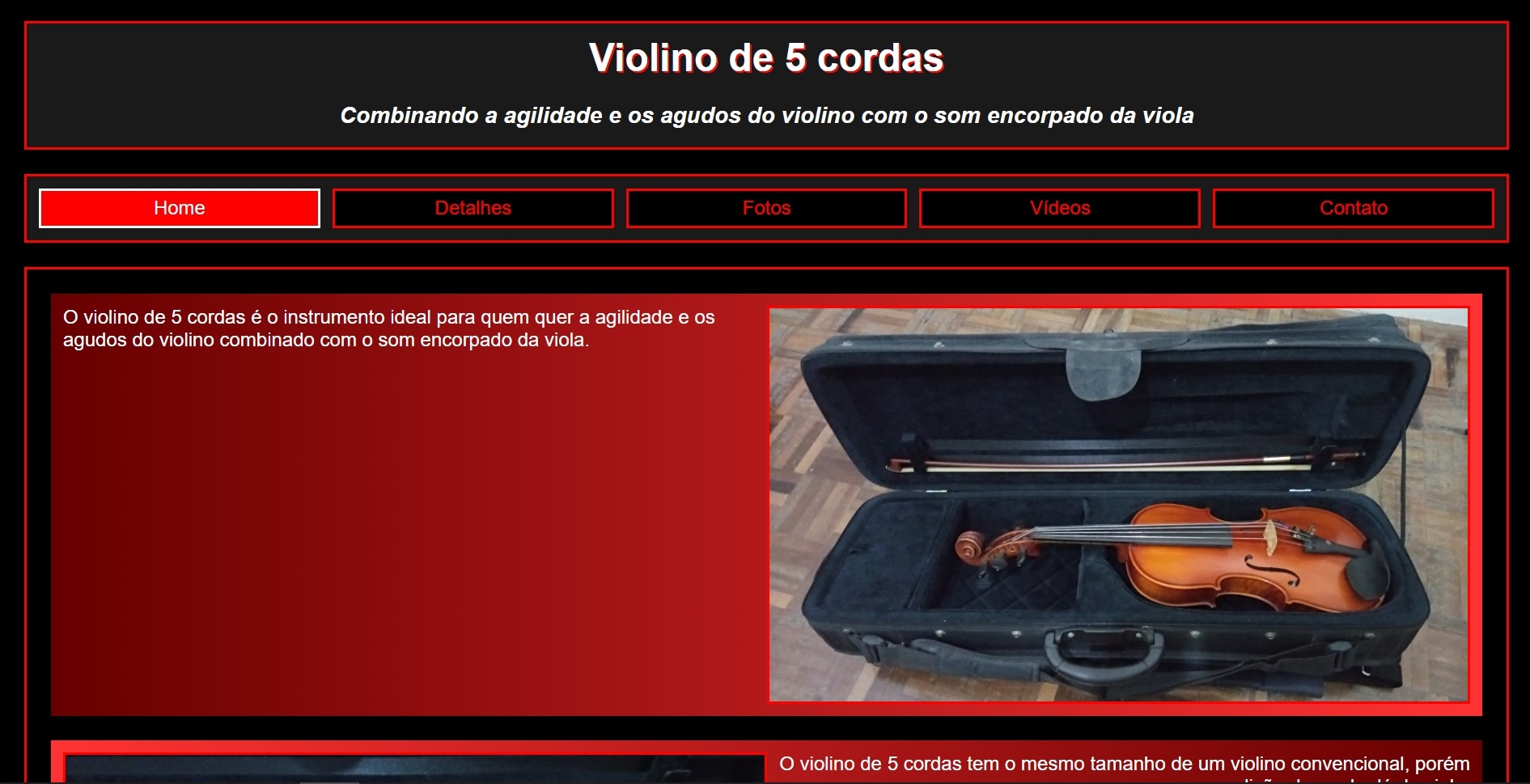 Violin 5 string