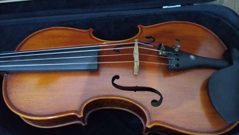 violino 4